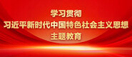 老公啊啊受不了了小黄文学习贯彻习近平新时代中国特色社会主义思想主题教育_fororder_ad-371X160(2)